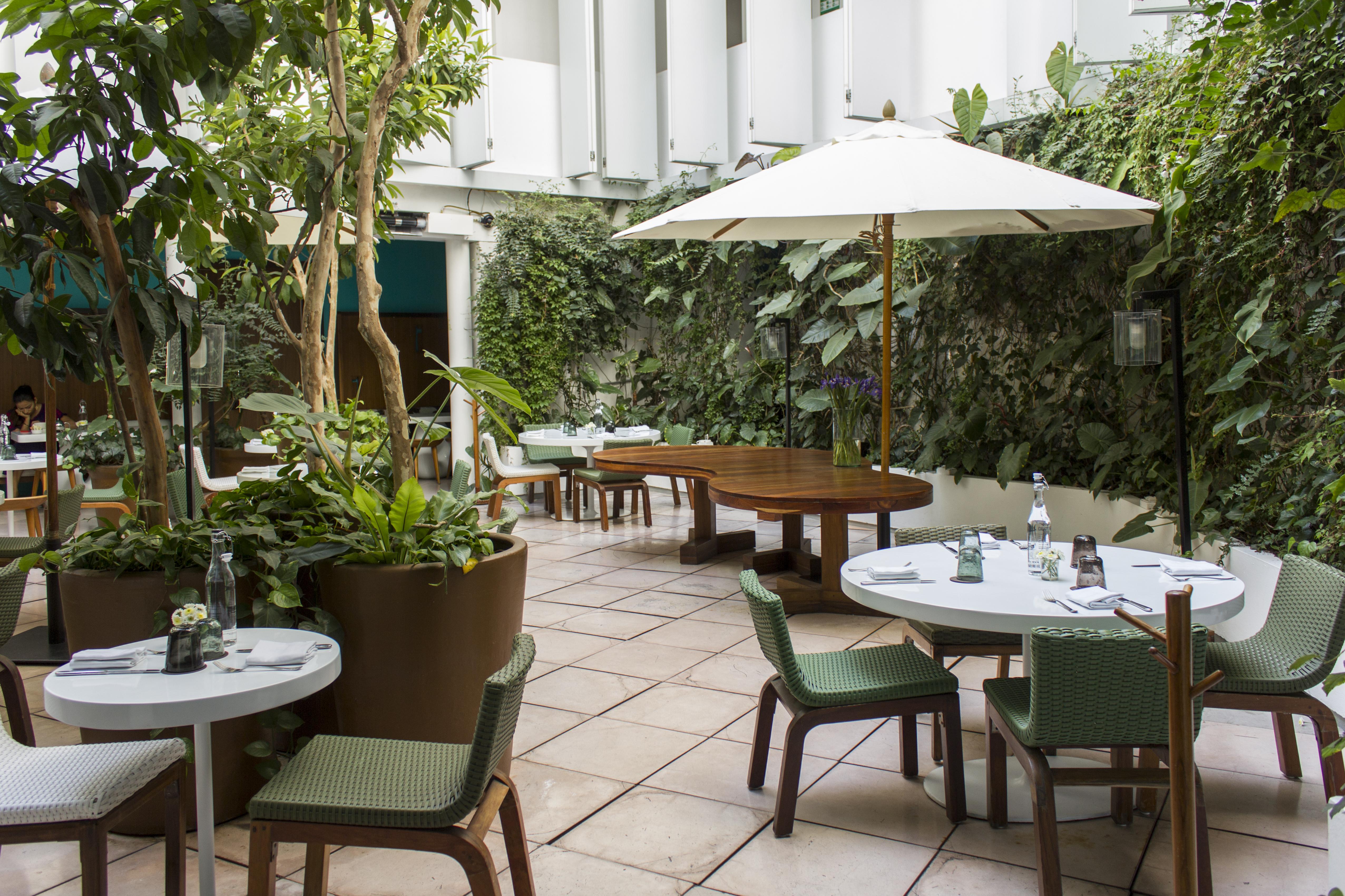 Condesa Df, Mexico City, A Member Of Design Hotels Exterior foto